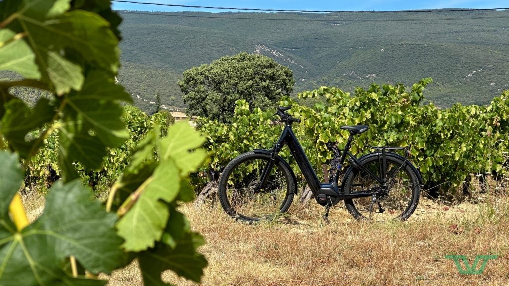 Un vélo à l'aise sur beaucoup de terrains.