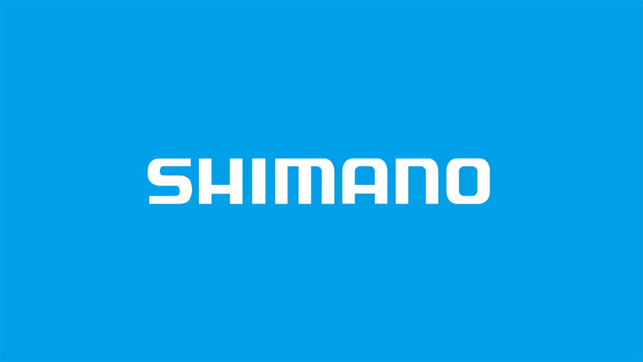 Shimano: &quot;The bicycle market remains timid&quot;